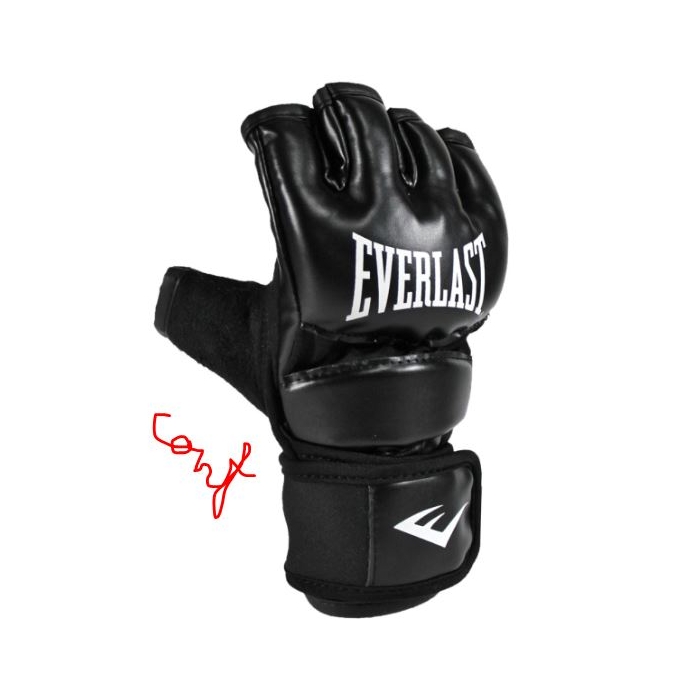 Everlast Core Everstrike gloves